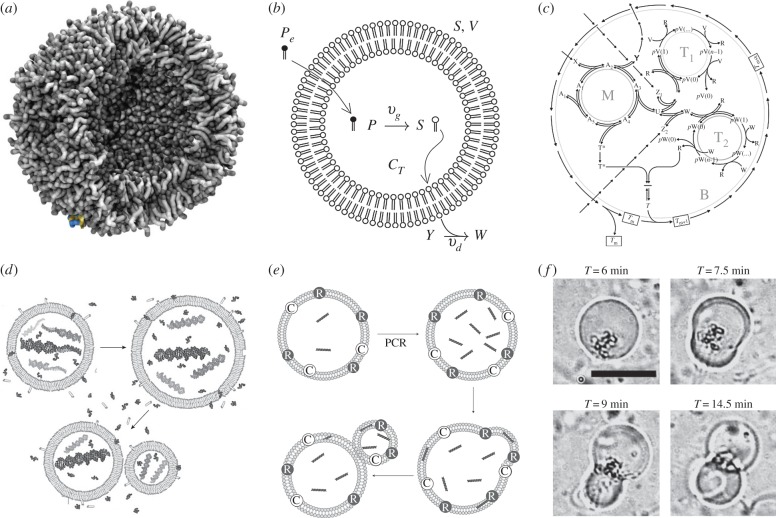 Figure 10.