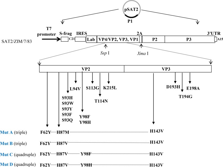 FIG 2