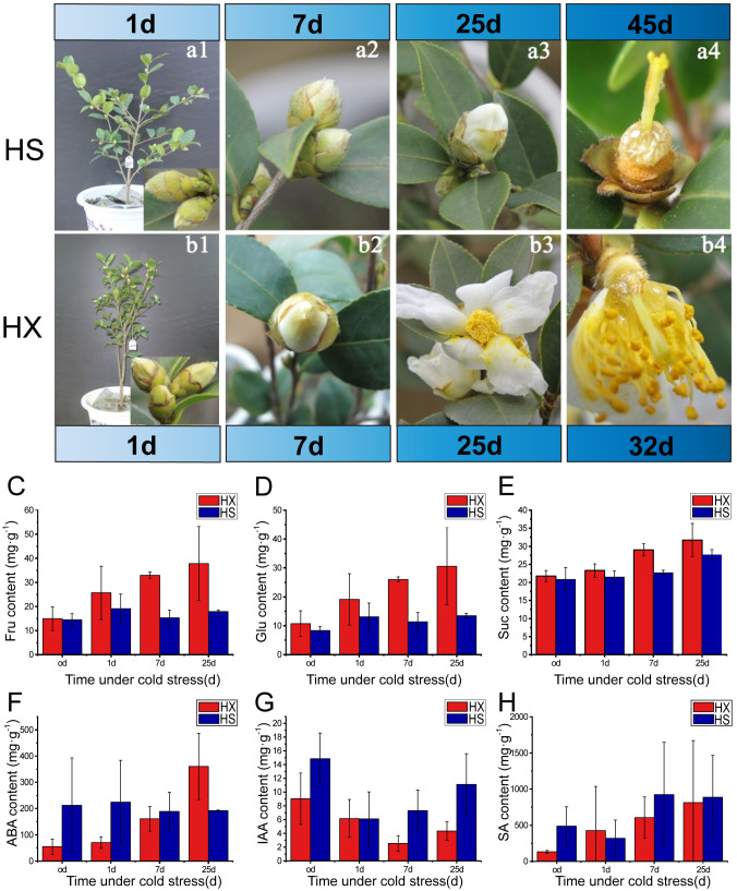 Figure 2