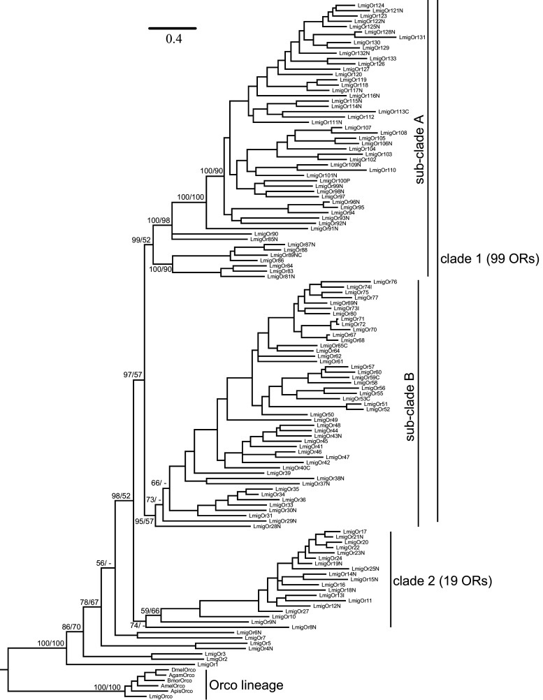 Fig. 2