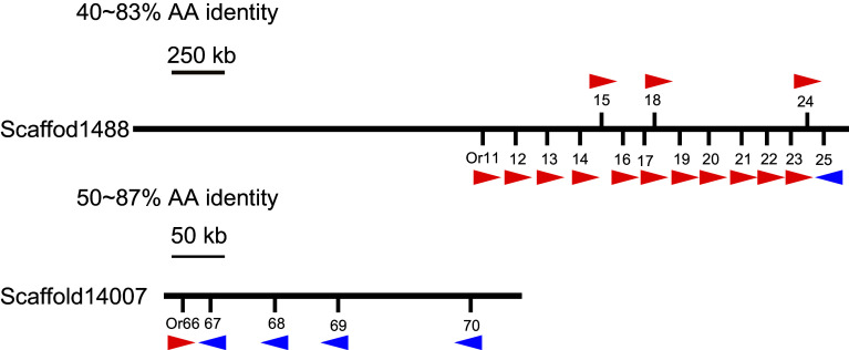 Fig. 1