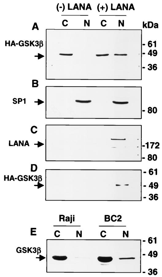 FIG. 5.