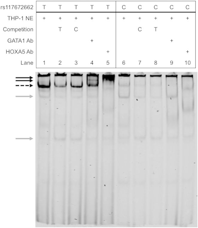 Figure 3