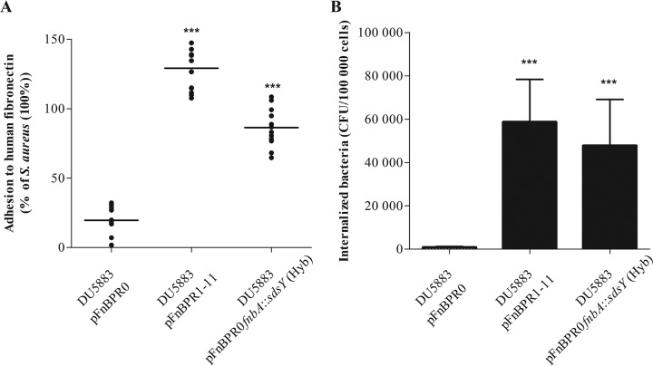 FIG 3