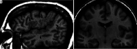 Figure 10.