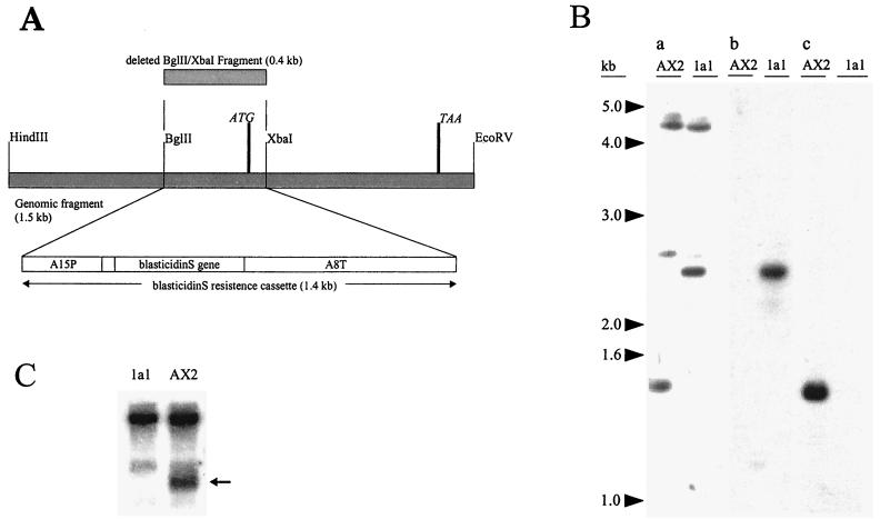 FIG. 1.