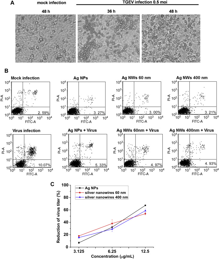 Fig. 2