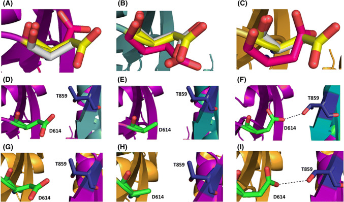 Figure 6