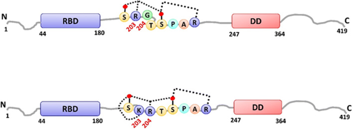 Figure 4