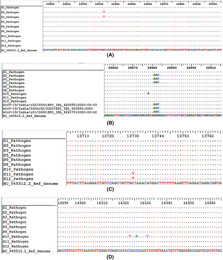 Figure 2