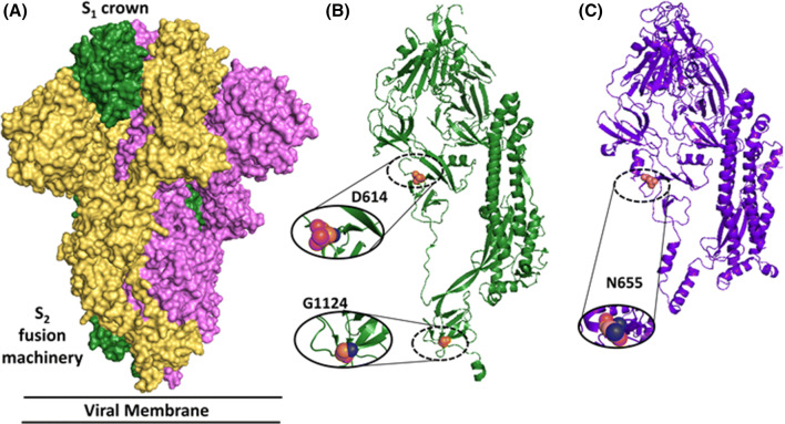 Figure 5