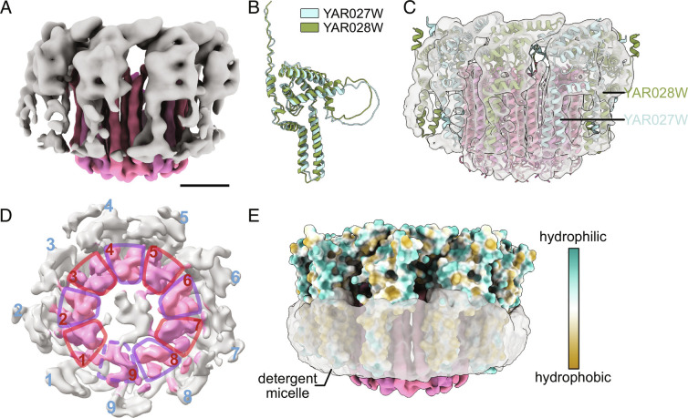 Fig. 3.