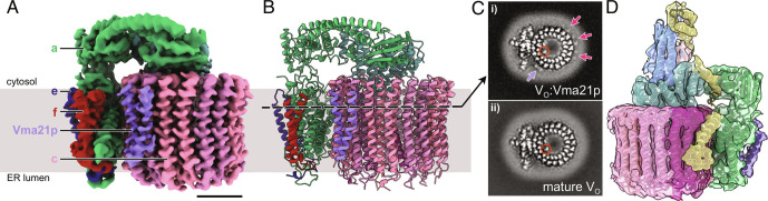 Fig. 2.