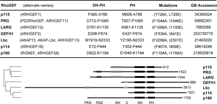 FIGURE 1.