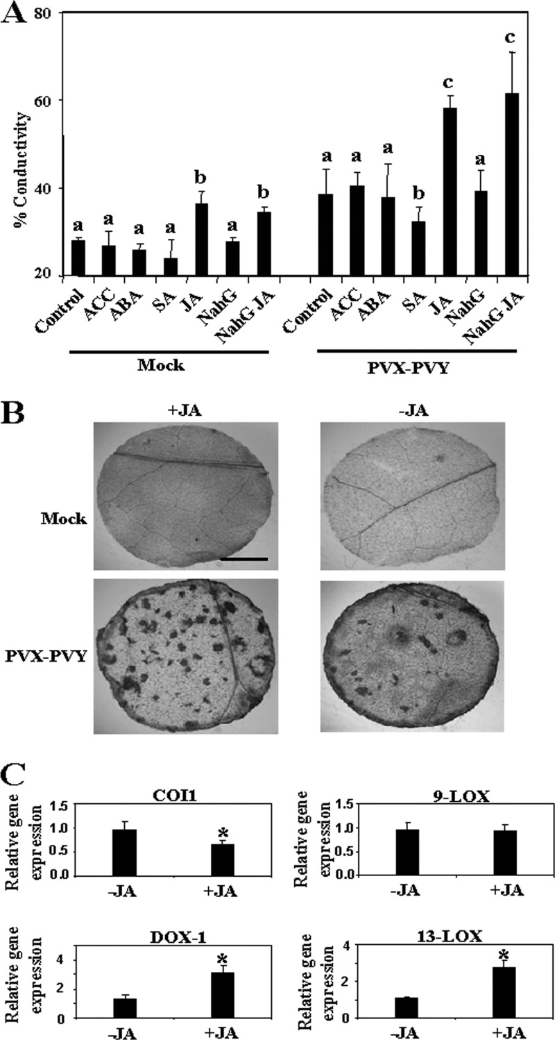 Fig 9