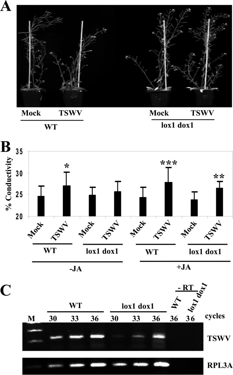 Fig 12