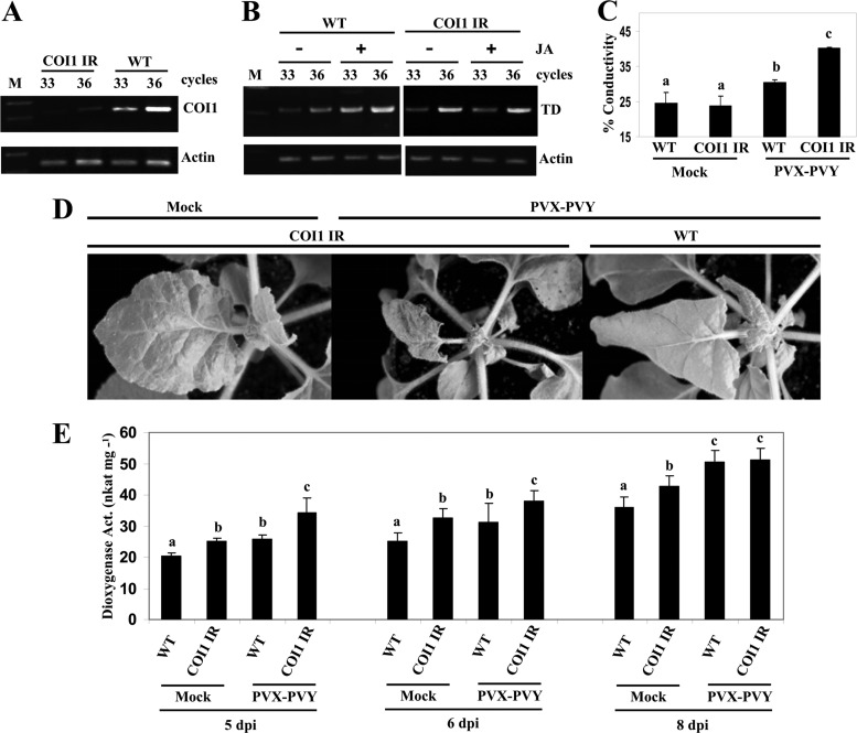 Fig 6