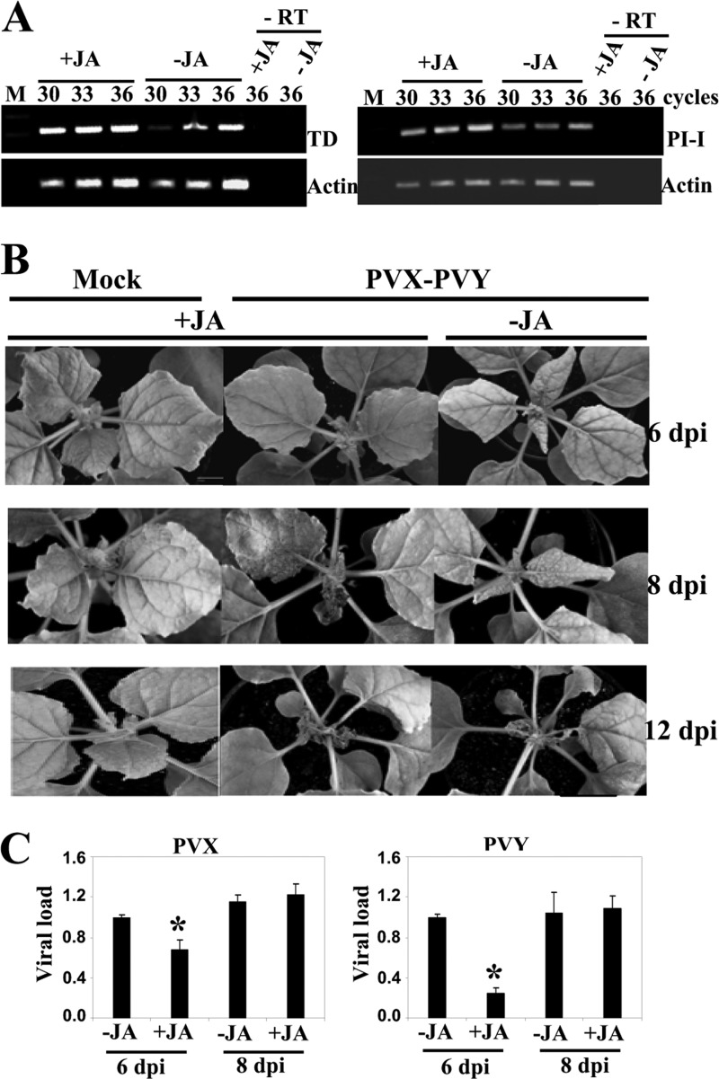 Fig 8