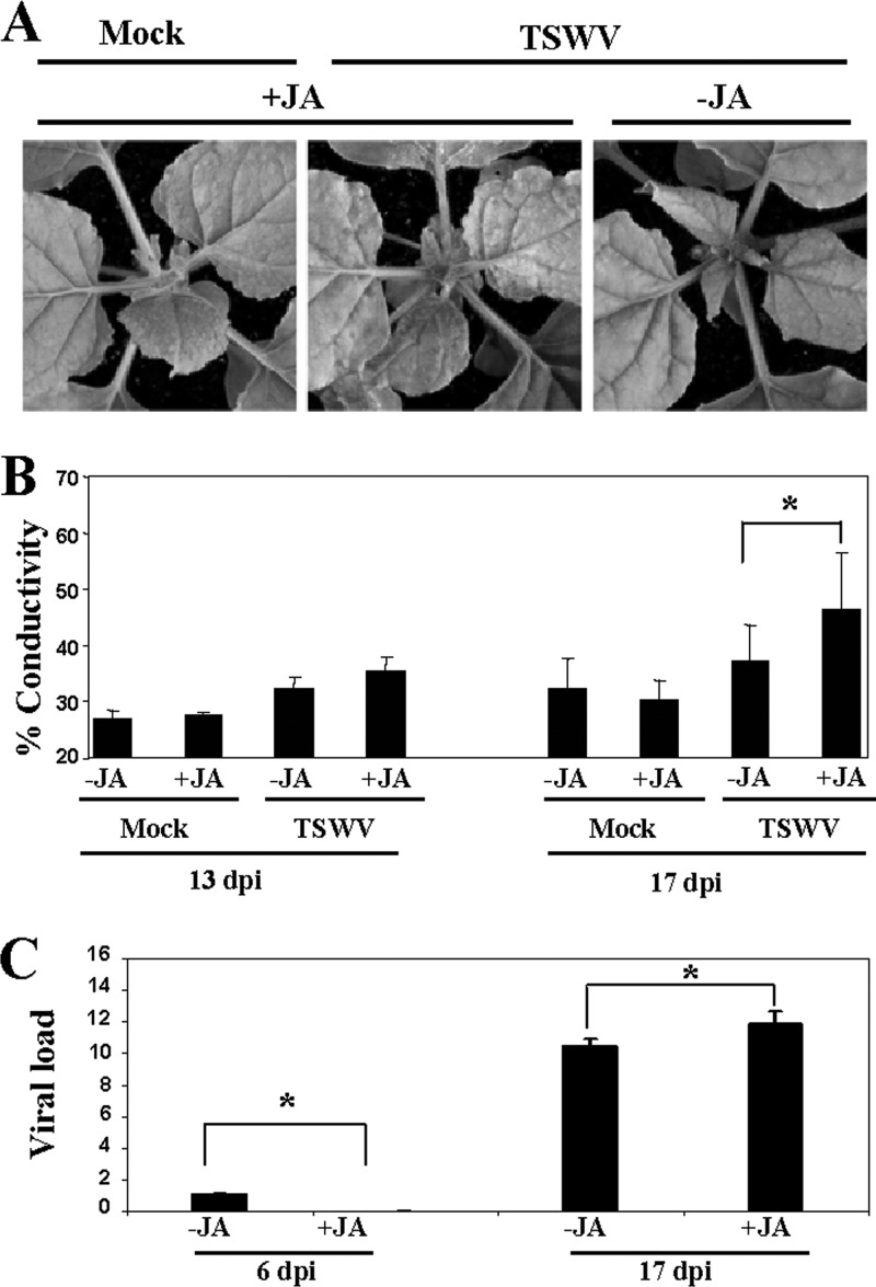 Fig 11