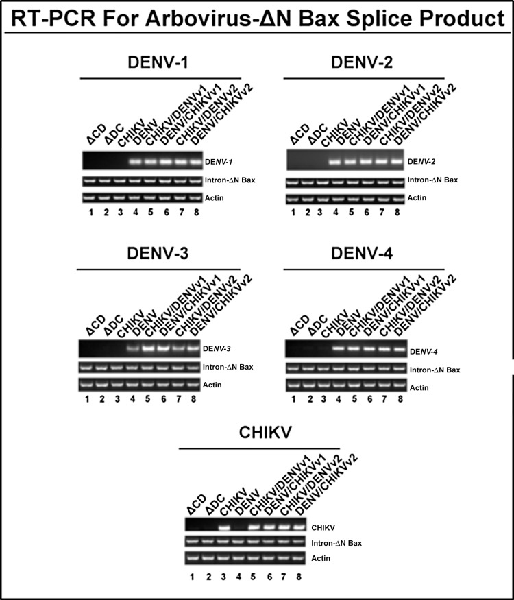 Fig 4