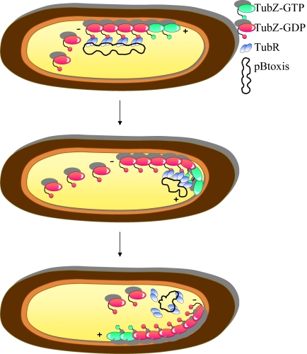 Fig. 1.