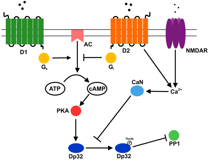 Figure 2.