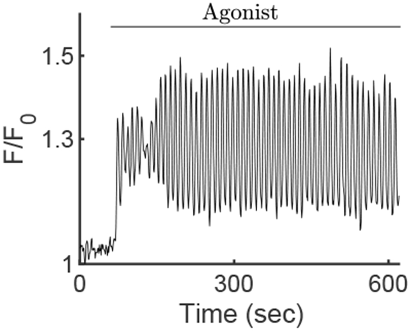 Fig. 3: