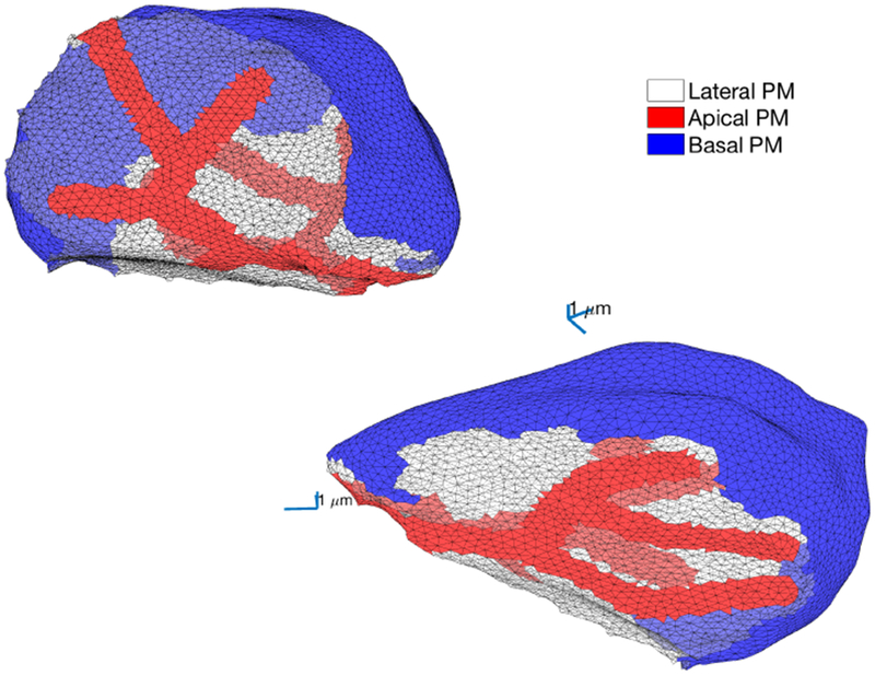 Fig. 15: