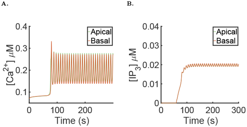 Fig. 13: