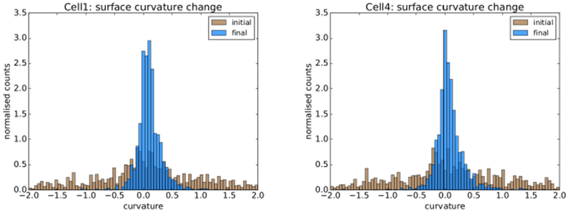 Fig. 24: