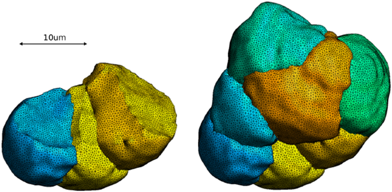 Fig. 25: