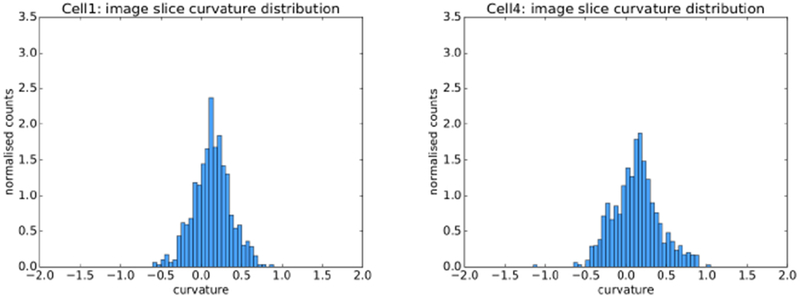 Fig. 19: