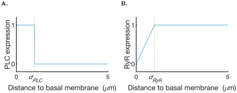 Fig. 6: