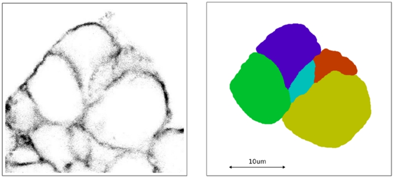 Fig. 17: