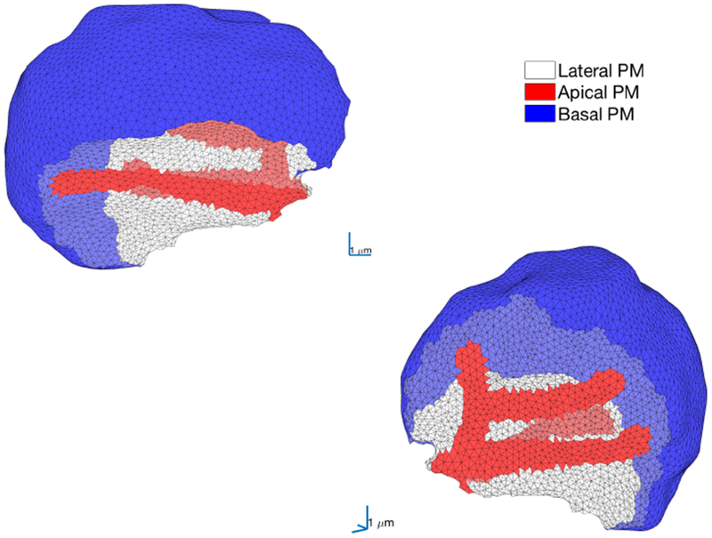 Fig. 5: