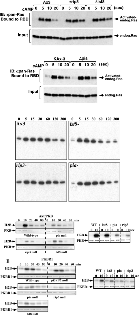 Figure 7.