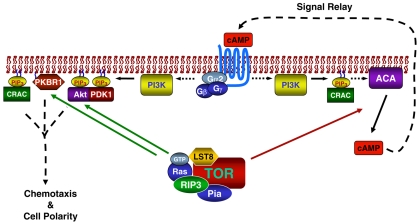 Figure 9.