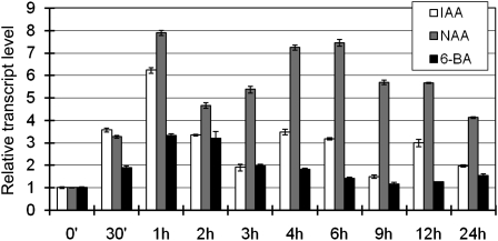 Figure 6.