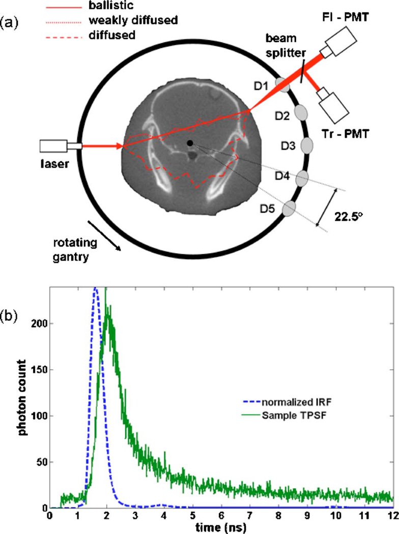 Fig. 1