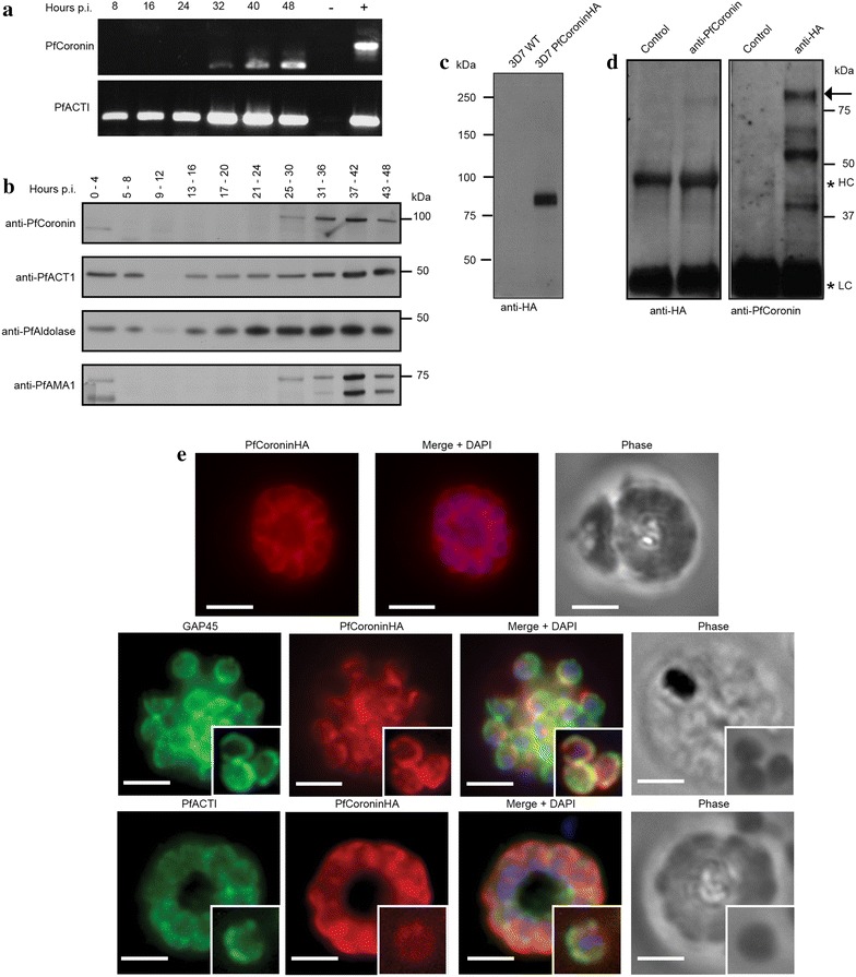 Figure 6