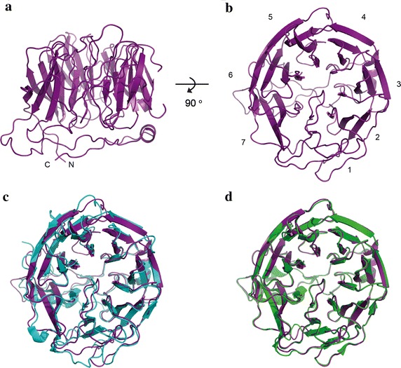 Figure 2