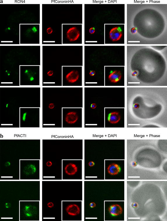 Figure 7