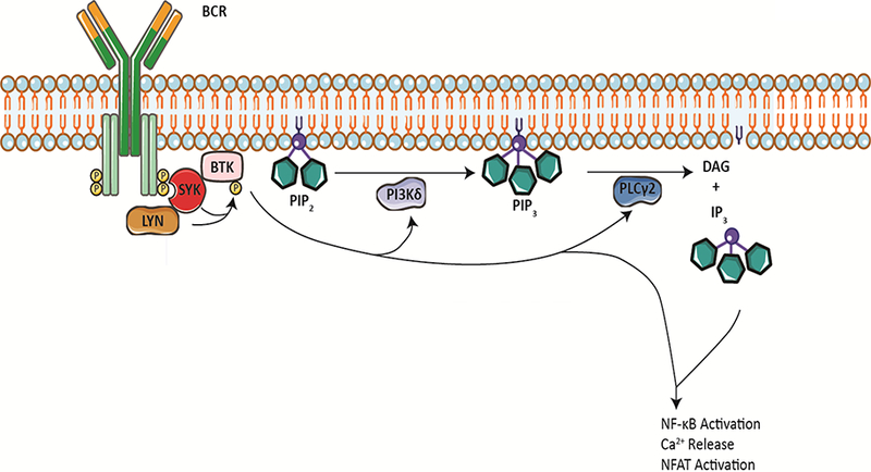 Figure 1: