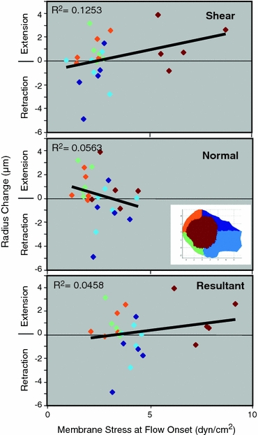 Figure 5