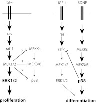 Fig. 9.