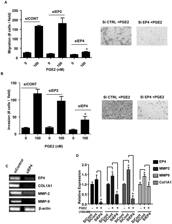 Fig.4