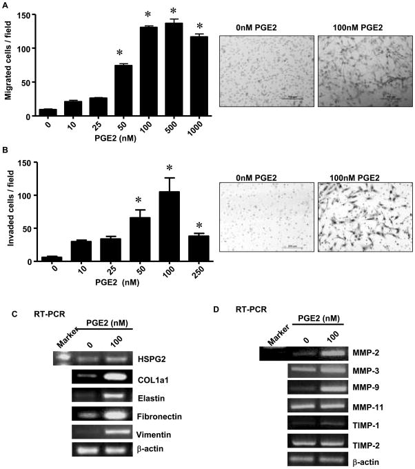 Fig.2