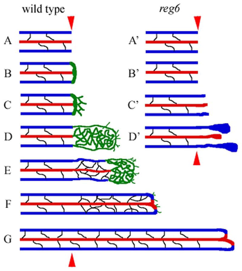 Fig. 10