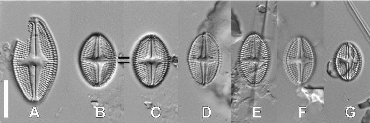 Figure 7.