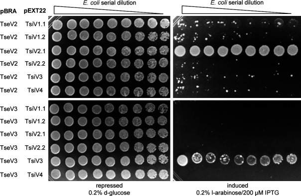 Figure 2—figure supplement 1.